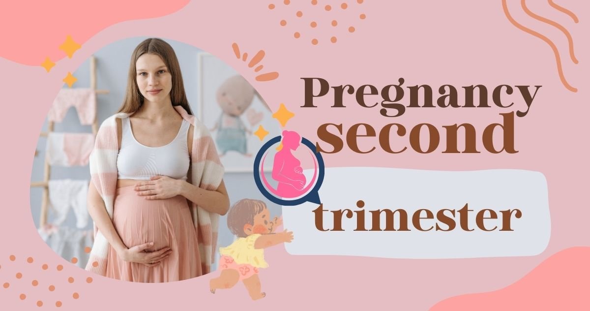 Second Trimester Pregnancy