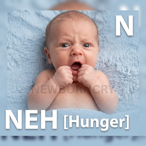 Hunger cry illustration - NEH